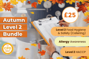 Level 2 Autumn Bundle